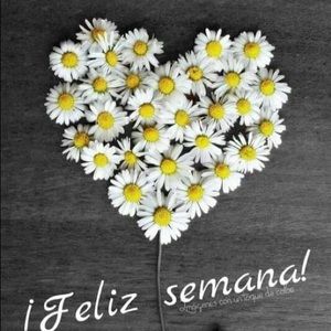 Meet your Posher, Cristina